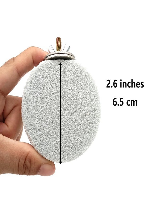 Shelltech Pumice Ledge Lava Ledge for Birds Chinchillas, Climbing Ledge Teeth Grinding Beak Grinding Block Perch Stand for Hamsters Chinchillas Parrots (Natural Color, S-Round 2 Pack) - Image 2